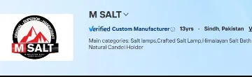 M SALT banner