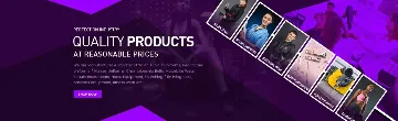 PROFECTION INDUSTRY banner