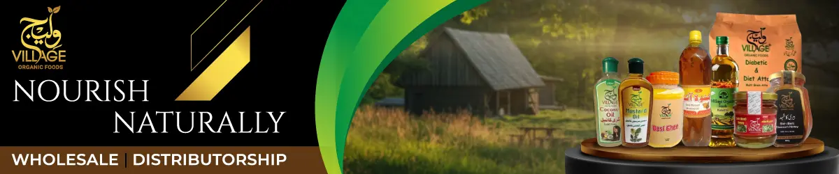 Village organic foods  banner