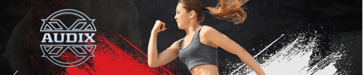 AUDIX INDUSTRY banner