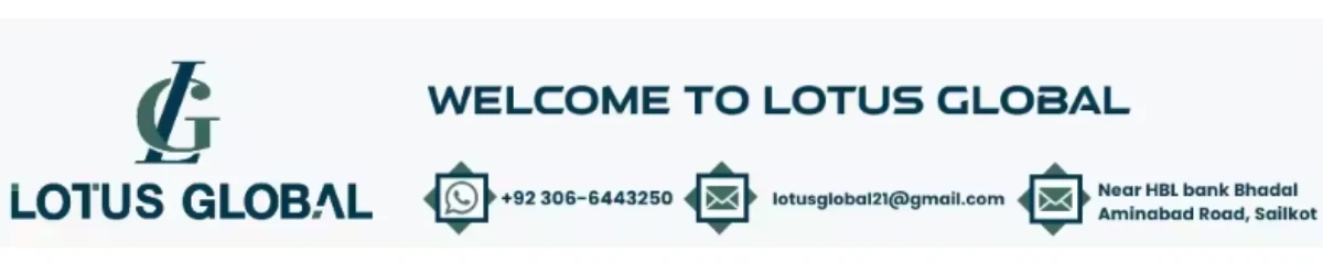 Lotus Global banner