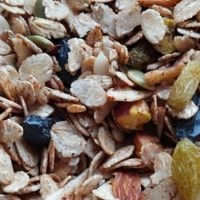  Fitbites Classic Granola 200gm