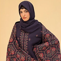  Embroidered Karandi'25