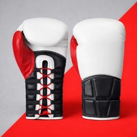  Boxing Gloves