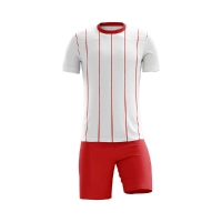  High Quality Custom Design Soccer Uniform Wholesale Price Polyester Sports Jersey Green with Name Printing Blank Team Name