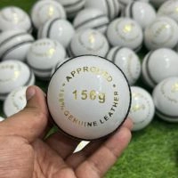  Cricket Leather Balls