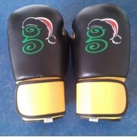  Leather Boxing Gloves