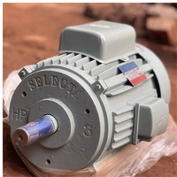  3HP Electric Motor Industrial Heavy Duty Water Pump Motor Single Phase