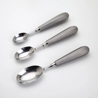  Perfect Quenelle Spoon Large Stainless Steel Best Quality in Low Prices