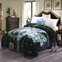 Raschel Blanket Double Thick Double Warm Coral Single Bed Blanket for Winter