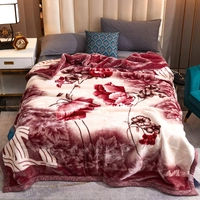  Raschel Double Thick Warm Coral Fleece Winter Blanket Single Bed Soft Plush Blanket