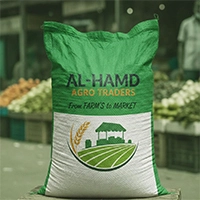  Basmati Rice Aroma Long Grain Pakistani Basmati Rice Premium Quality Bulk Wholesale Export Rice Food Supply