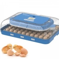  70 Eggs AC/DC Automatic Egg Incubator | Wonegg HHD Smart Hatchery Machine | Temperature & Humidity Control