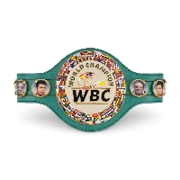  Custom Boxing Championship Belt