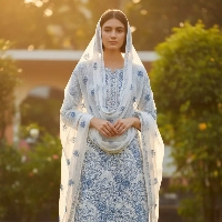  Embroidered 3pc | Luxury Article