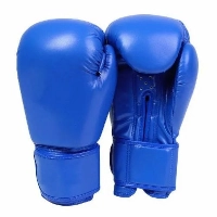  Boxing Gloves